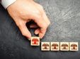Guide to How a Franchise Works: Everything You Need to Know