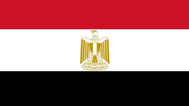 E-commerce volume in Egypt reaches EGP 30bln