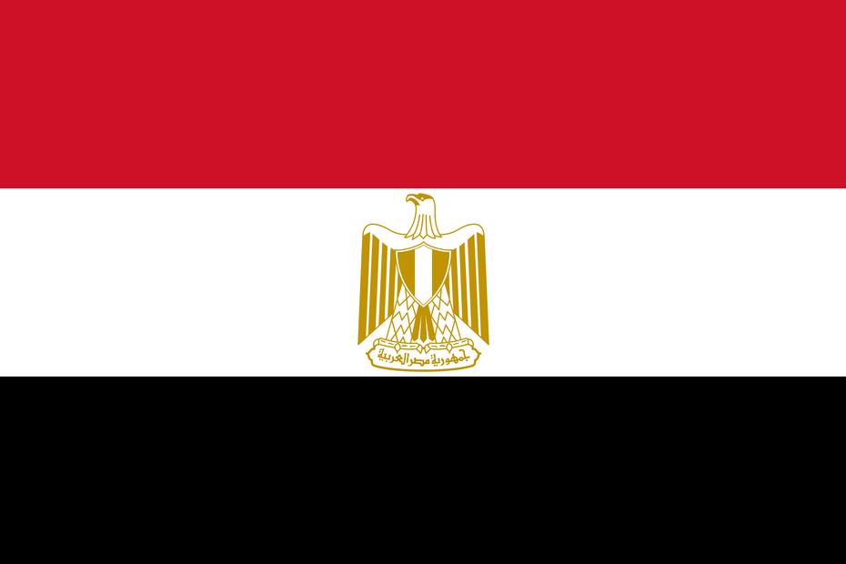 E-commerce volume in Egypt reaches EGP 30bln